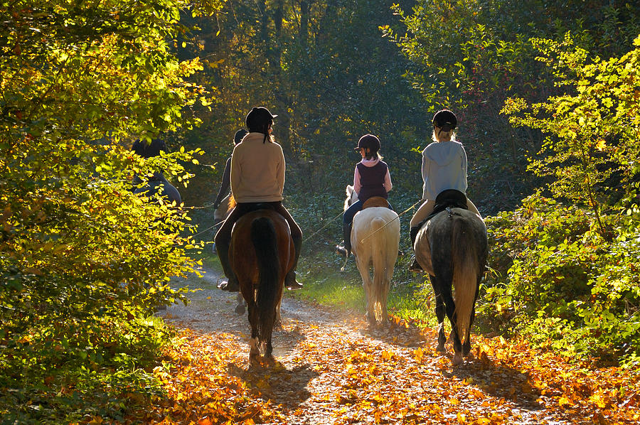 Riders with horses in the forest Photograph by Matthias Hauser