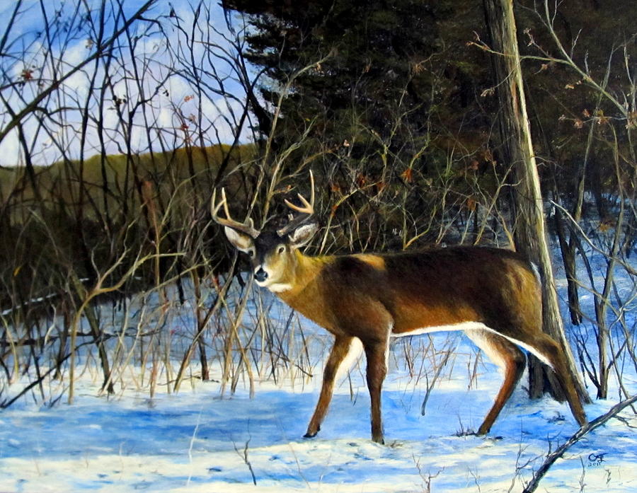 Deer Painting - Ridge Buck by Catfish Lawrence