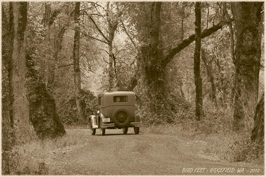 Tree Photograph - Ridgefield Nostalgia by Angie Vogel