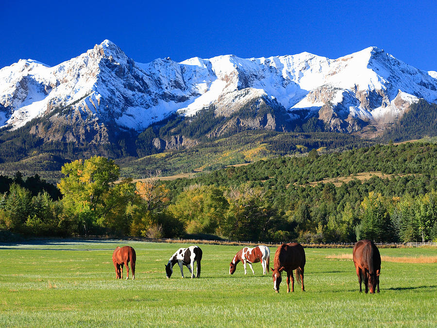 Ridgeway Rl Ranch Photograph by Robert Yone