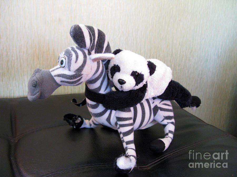 Toy Photograph - Riding a zebra.Traveling pandas series by Ausra Huntington nee Paulauskaite