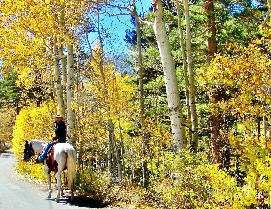 Riding Into Fall Photograph by Marilyn Diaz