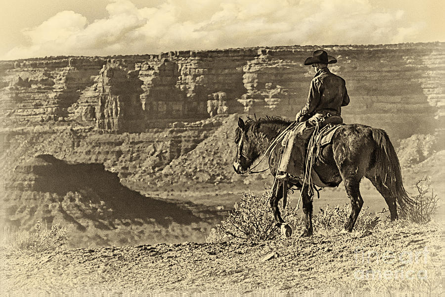 Black And White Photograph - Riding into the Canyon by Priscilla Burgers