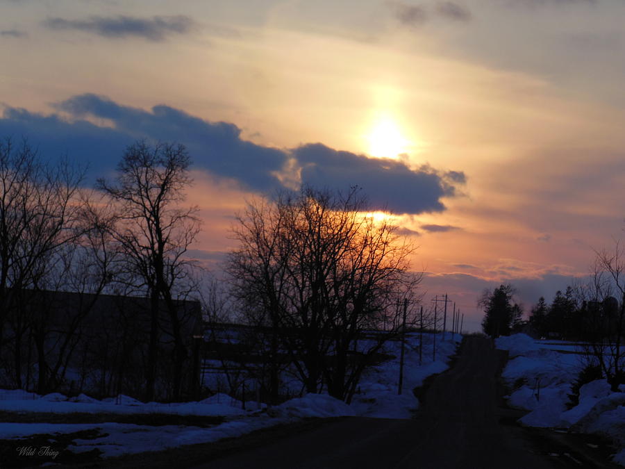 Winter Photograph - Riding Off Into The Sunset by Wild Thing