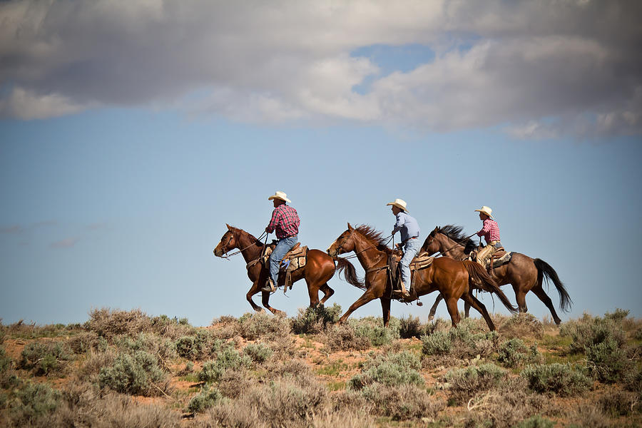 Horse Photograph - Riding the Range - Natrona County - Wyoming by Diane Mintle