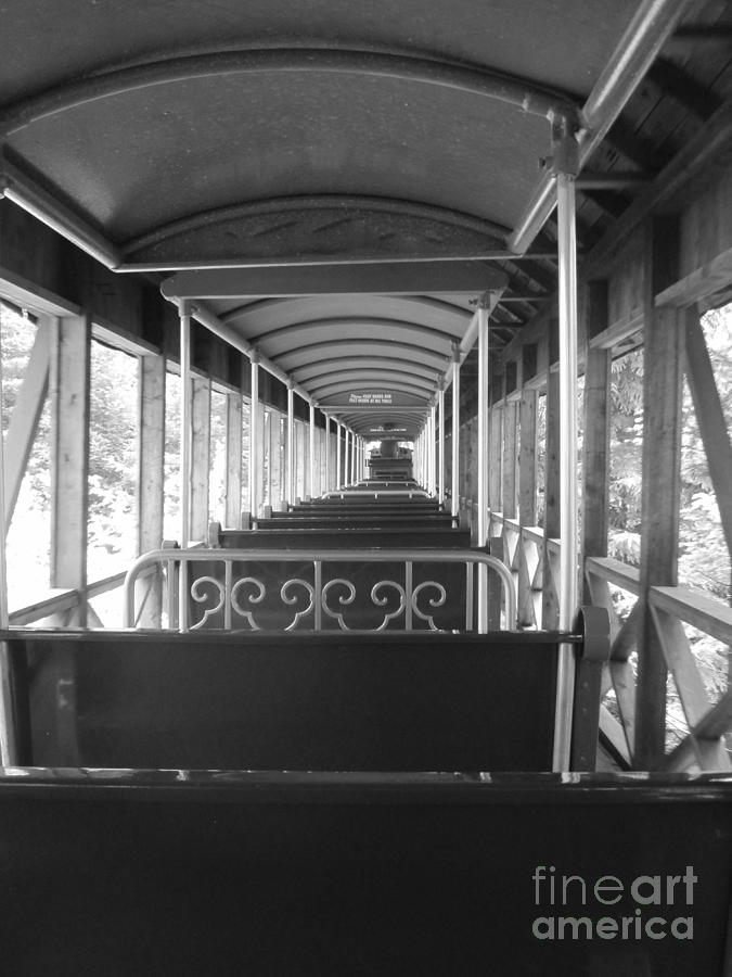 Riding the Train Photograph by Barbara Bardzik