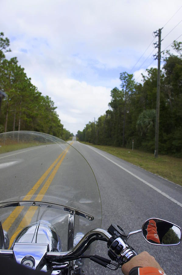 Riding Through The Withlacoochee Forest Photograph by Laurie Perry