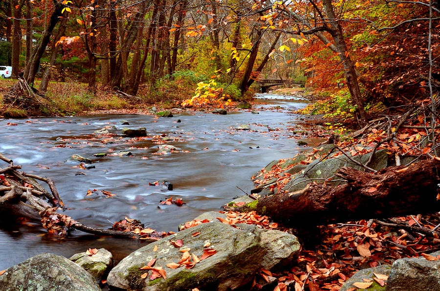 Ridley Creek PA Photograph by Judy Gallagher - Fine Art America