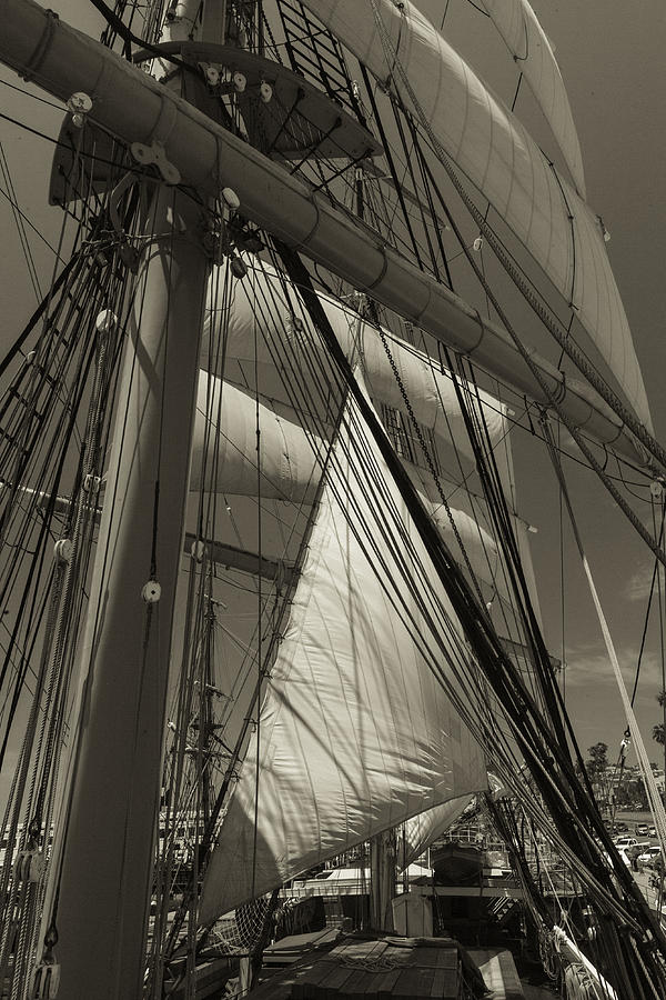 San Diego Photograph - Rigging All Over Black and White Sepia by Scott Campbell