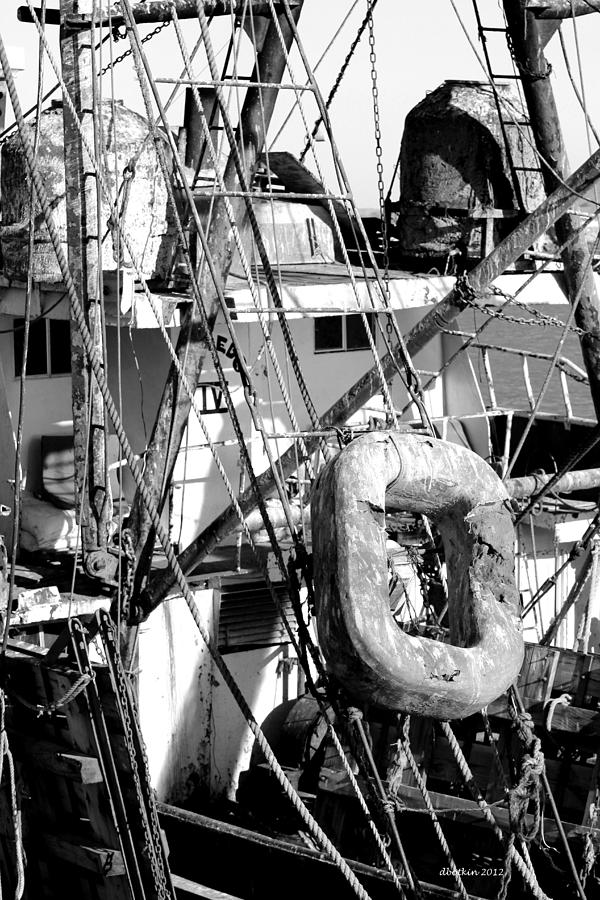 Rigging Photograph by Dick Botkin
