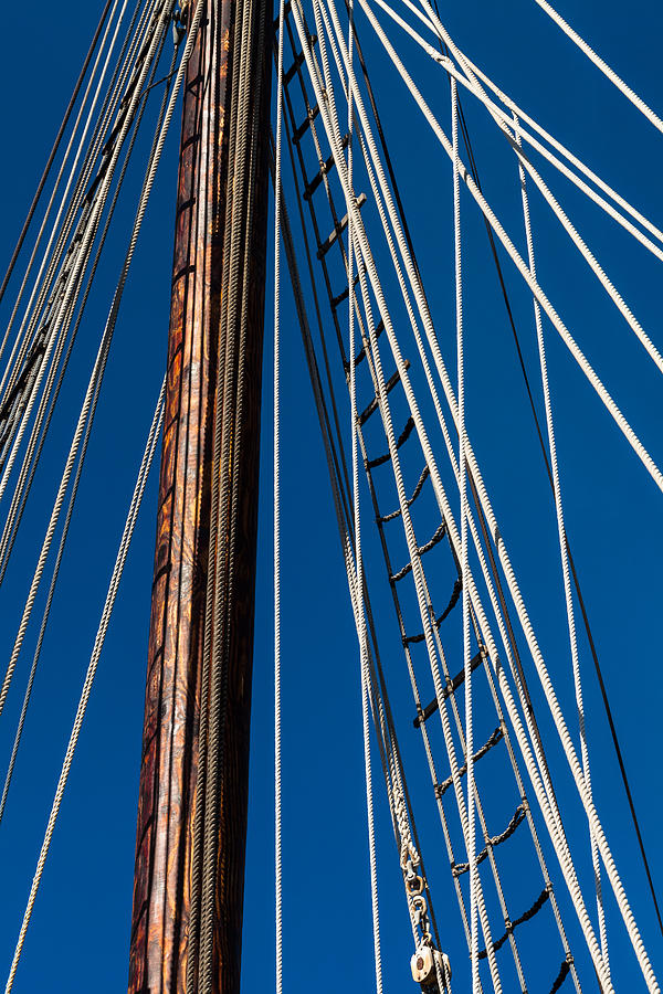 Rigging Photograph by Ed Gleichman