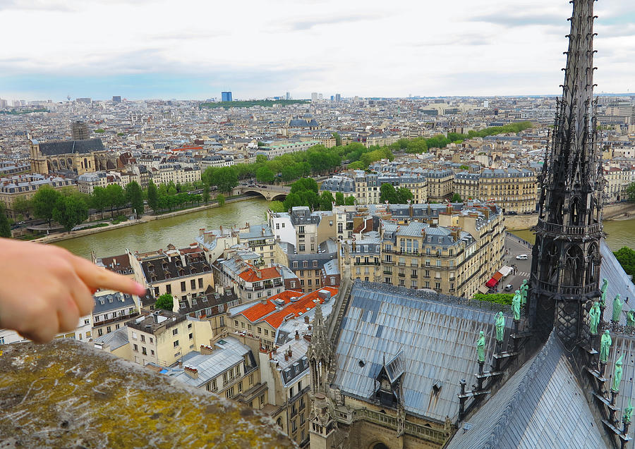 From the top of Notre Dame Photograph by Hermes Fine Art