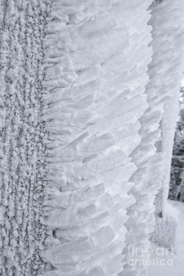Nature Photograph - Rime Ice - Cannon Mountain New Hampshire USA by Erin Paul Donovan