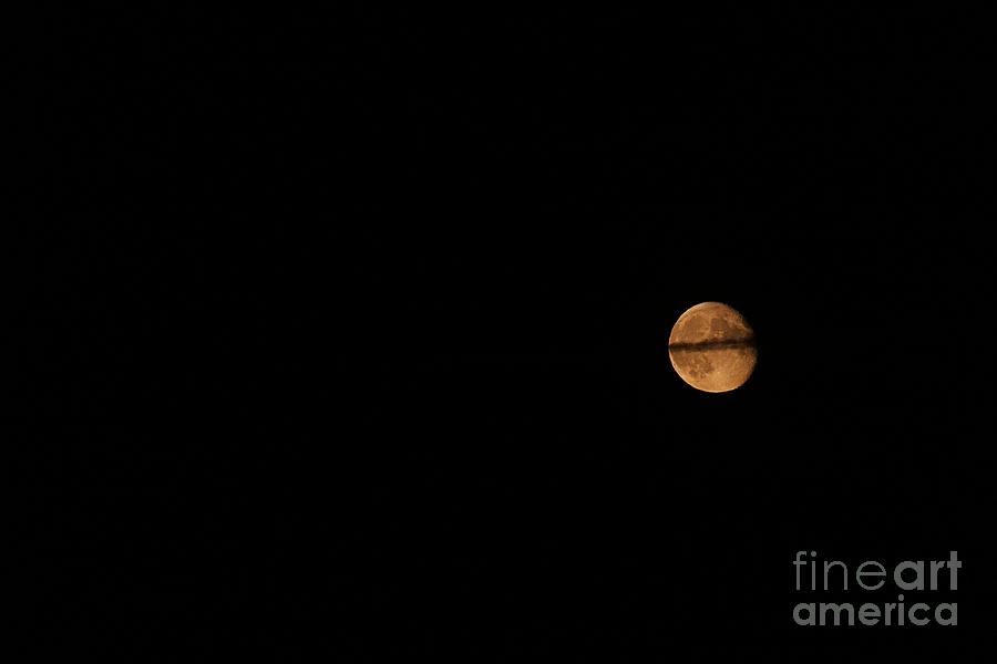 Ring Around the Moon Photograph by Ann E Robson