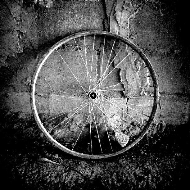 Summer Photograph - #ring #bicycle #blackandwhite #bw by Jimmy Rock
