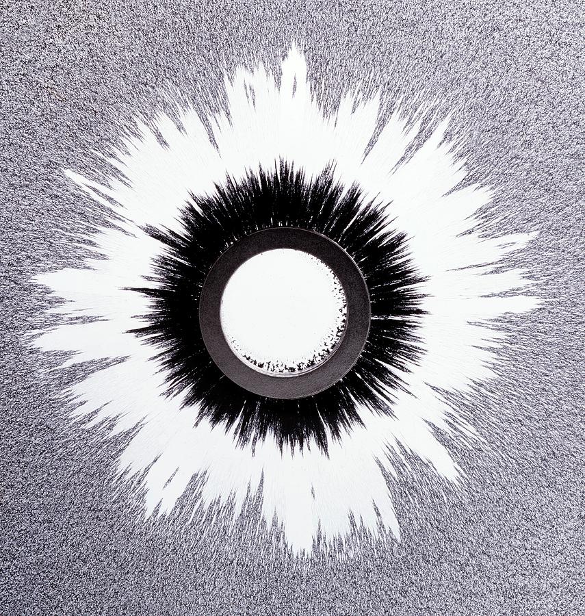 Ring Magnet And Magnetic Field Pattern Photograph by Lawrence Lawry/science Photo Library