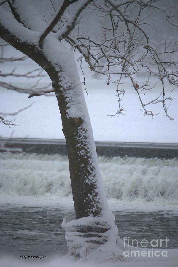 Ring of Snow Photograph by Veronica Batterson