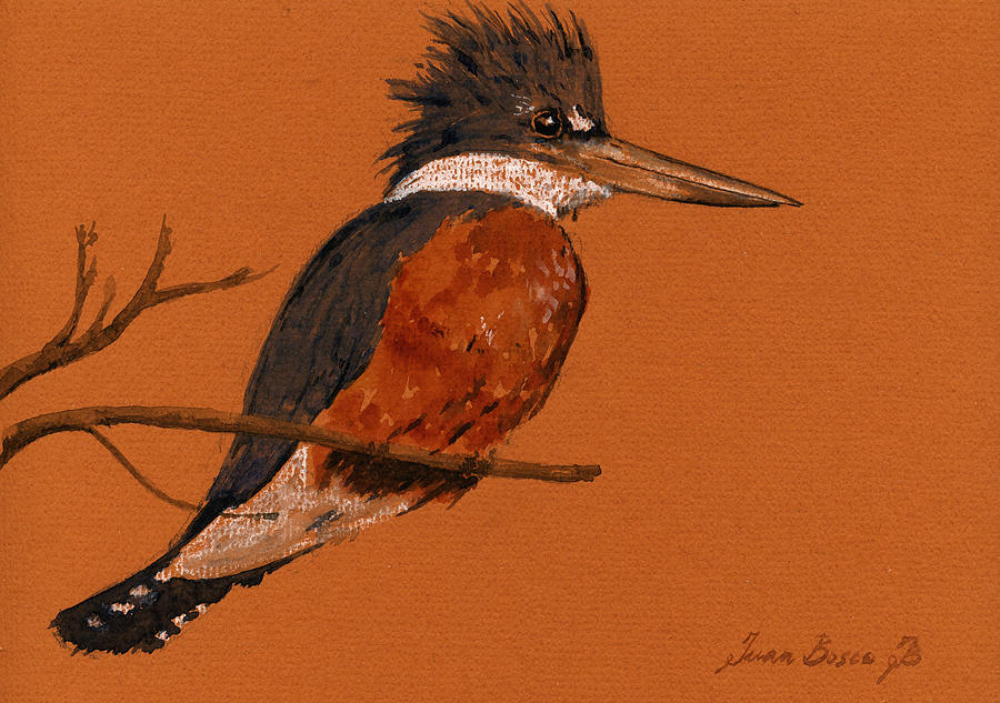 Kingfisher Painting - Ringed Kingfisher bird by Juan  Bosco