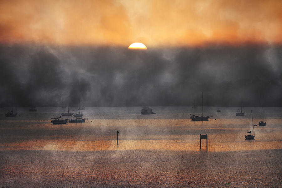 Boat Photograph - Ringling Misty Morning by Betsy Knapp