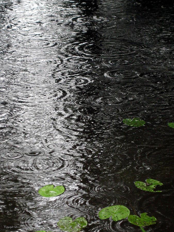 Summer Photograph - Rings of Rain by Leena Pekkalainen