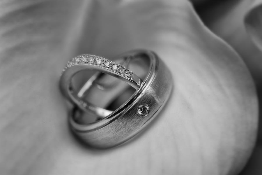 Ring Photograph - Rings by Rick Berk