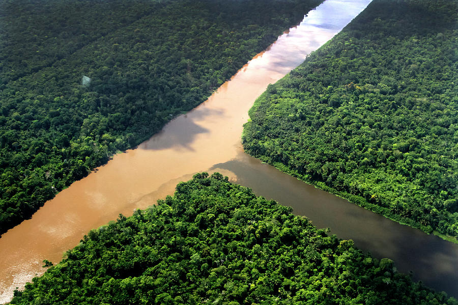 Rio Amazonas Photograph by Ricardo Lima