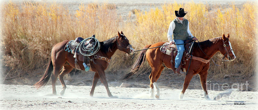 Rio Grande Cowboy Photograph by Barbara Chichester
