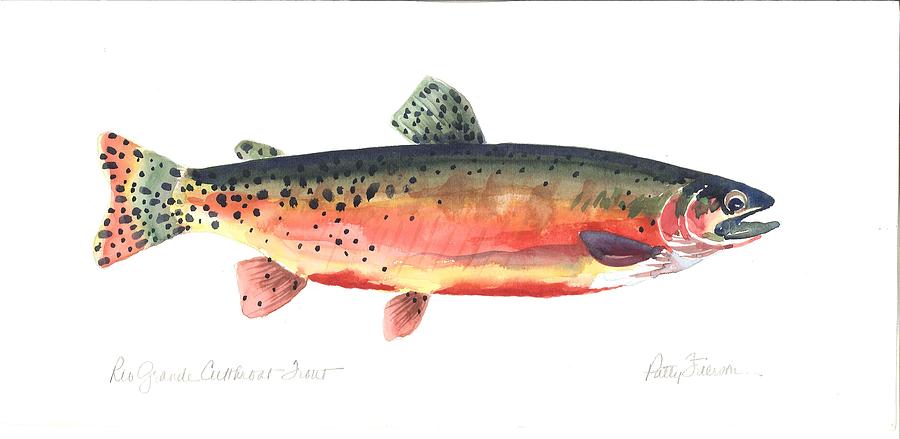 Trout Painting - Rio Grande Cuthroat Trout by Patty  Frierson