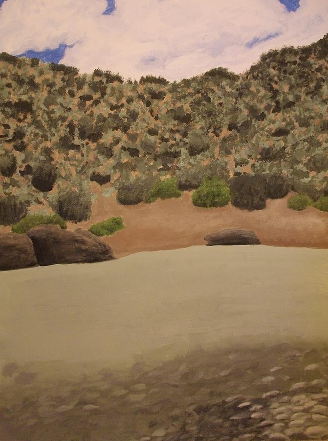 Rio Grande New Mexico Painting by Elizabeth Sullivan