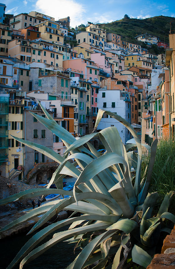 Riomaggiore - Cinque Terre Photograph by Dany Lison