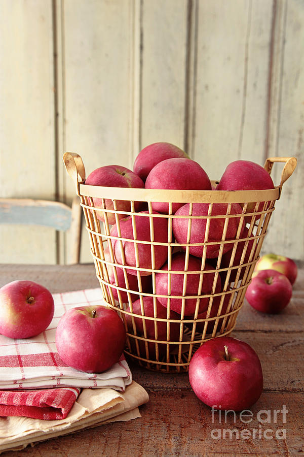 Ripe apples in metal basket Photograph by Sandra Cunningham
