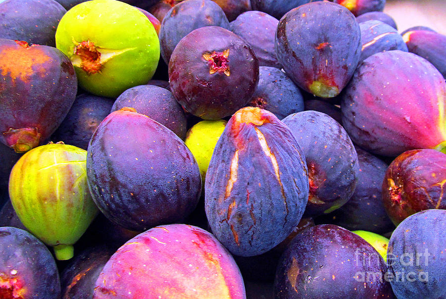 Fruit Photograph - Ripe Figs Ready For Snacking by Tina M Wenger