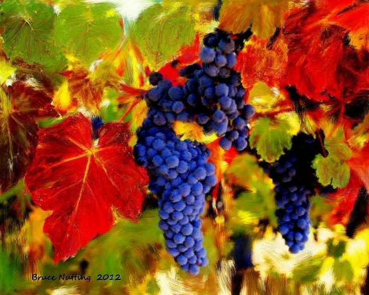 Ripe Grapes Painting by Bruce Nutting