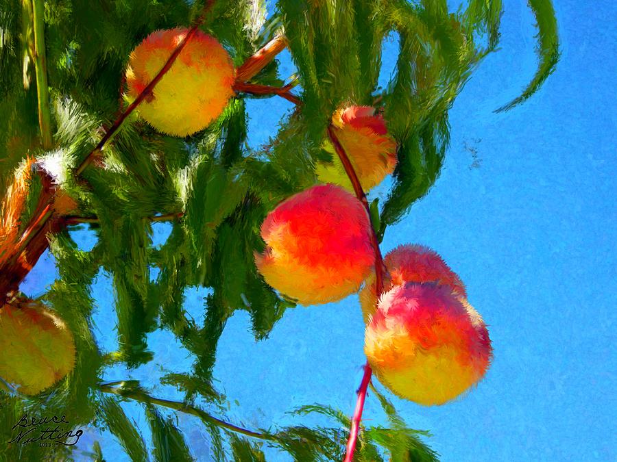 Ripe Peaches Painting by Bruce Nutting