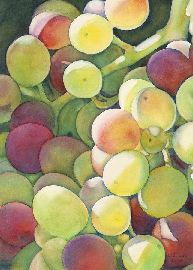 Ripening Painting by Sandy Haight