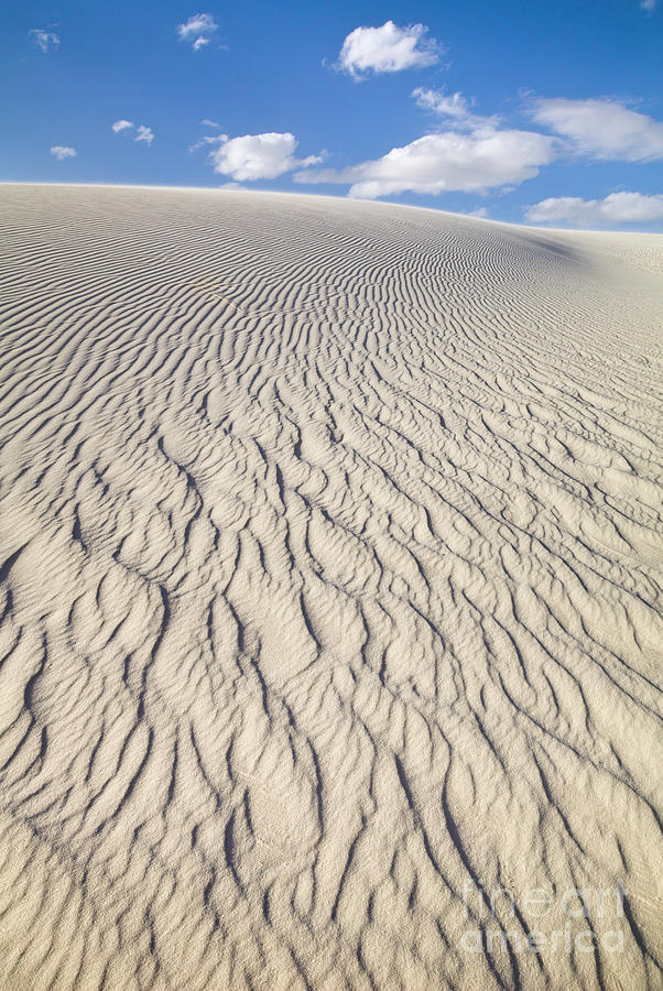 Rippled Dunes in White Sands Photograph by Yva Momatiuk John Eastcott