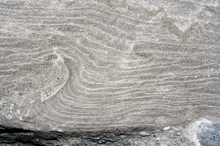 Pattern Photograph - Ripple Marks In Sandstone by Dr Morley Read/science Photo Library