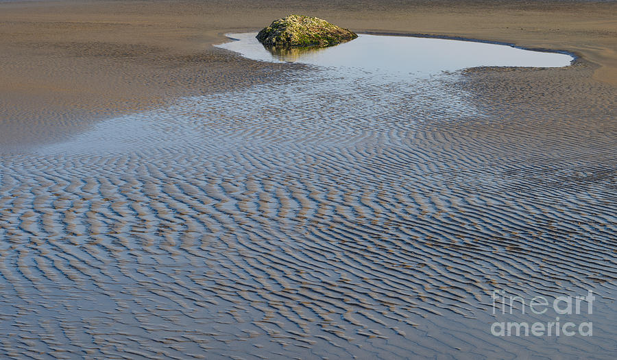 Ripple Pattern On Mudflat At Low Tide Photograph by John Shaw