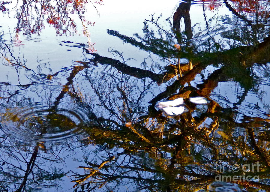 Rippled Reflections Photograph by Jean Wright