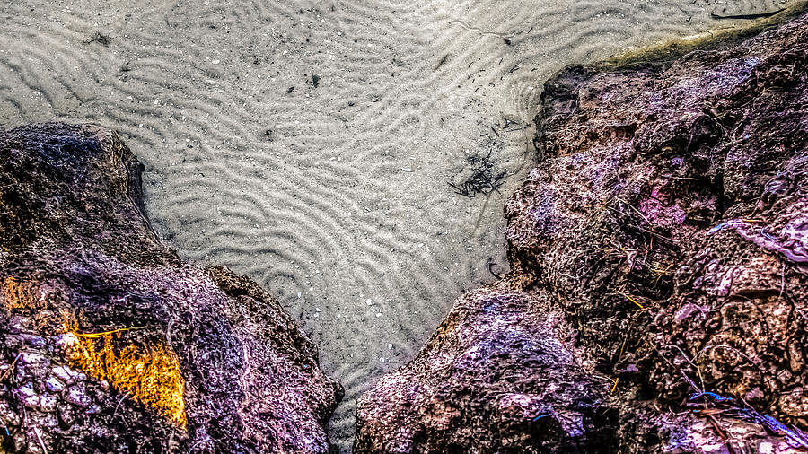 Rippled Sand And Coral Photograph