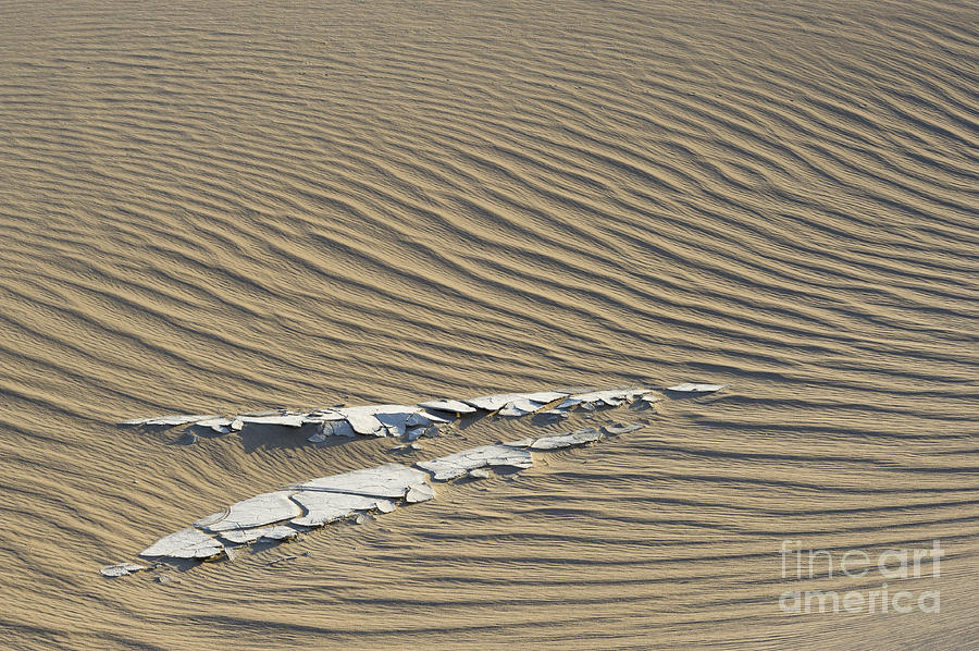 Rippled Sand Dune, Death Valley, Ca Photograph by John Shaw