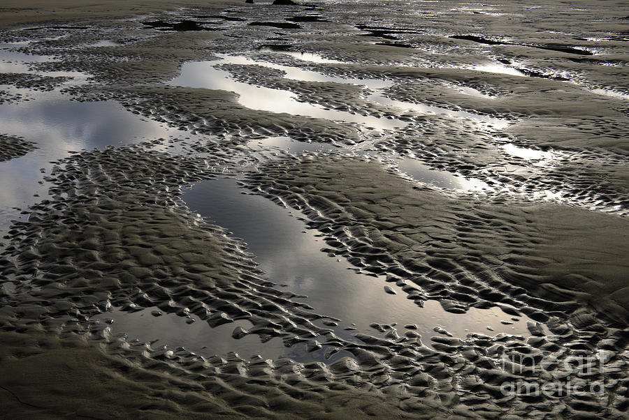 Rippled Sand Photograph by John Shaw