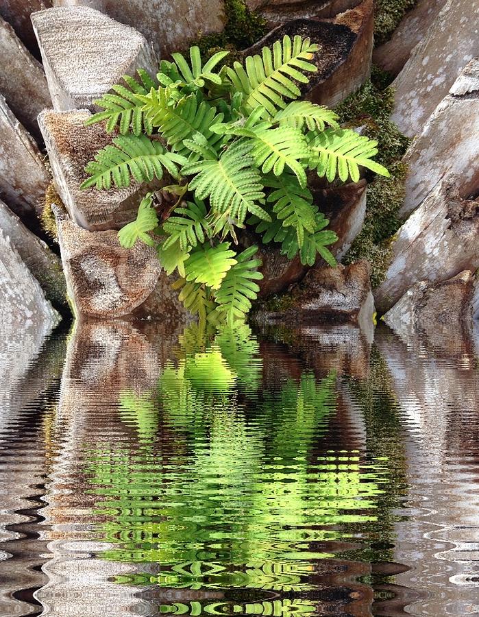 Ripples Photograph - Ripples and Reflection by Marian Lonzetta