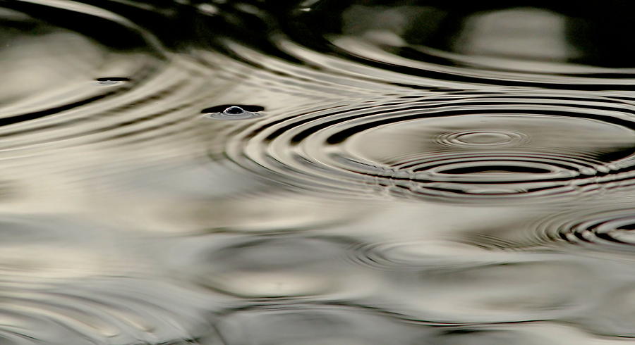 Ripples Photograph by BYET Photography