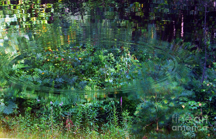 Tree Photograph - Ripples in a Woodland Pond by Ted Guhl