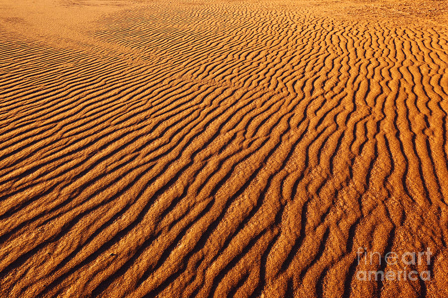 Ripple Patterns in the Sand 1 Photograph by James Brunker