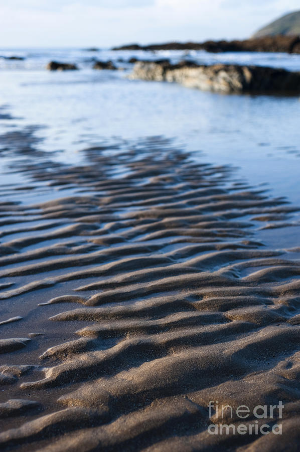 Fall Photograph - Ripples in the Sand by Anne Gilbert
