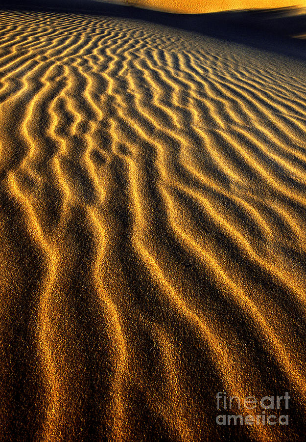 Ripples Oregon Dunes National Recreation Area Photograph by Dave Welling