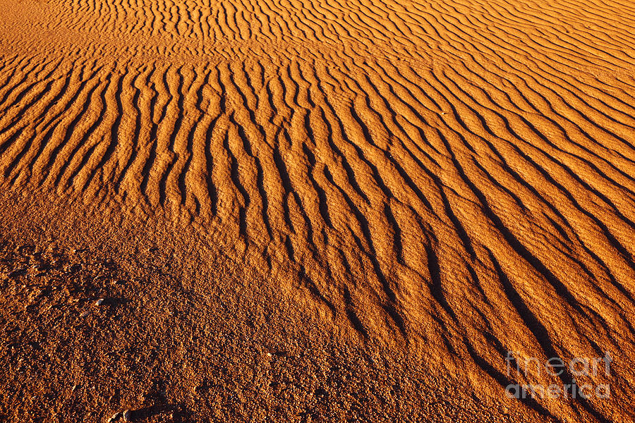 Ripple Patterns in the Sand 2 Photograph by James Brunker