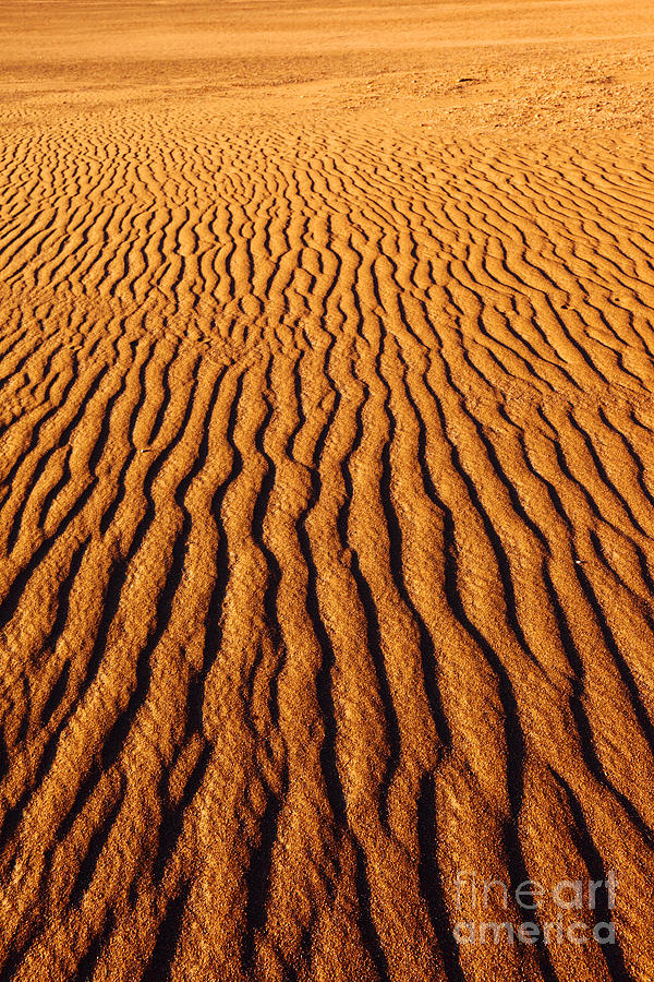 Ripple Patterns in the Sand 3 Photograph by James Brunker